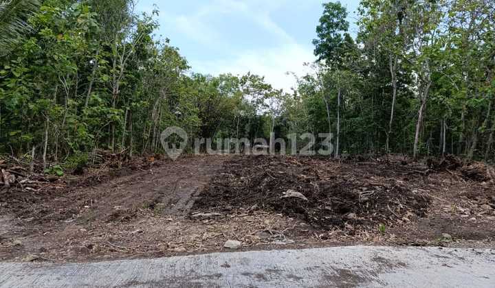 Tanah Kavling Murah Lokasi Strategis di Argodadi, Sedayu, Bantul Tanah Kavling Murah Lokasi Strategis di Argodadi, Sedayu, Bantul