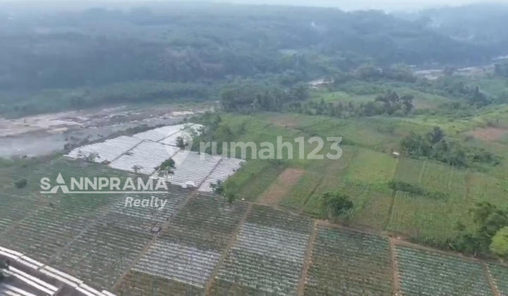 Tanah Luas Murah Untuk Investasi Dan Bisnis Di Mekarsari Bogor