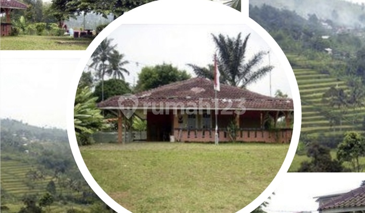 Lahan Premium 1 Ha di Puncak Cipayung - Cocok untuk Resort, Retreat, atau Hunian Pribadi Vila Lahan Premium 1 Ha di Puncak Cipayung - Cocok untuk Resort, Retreat, atau Hunian Pribadi Vila