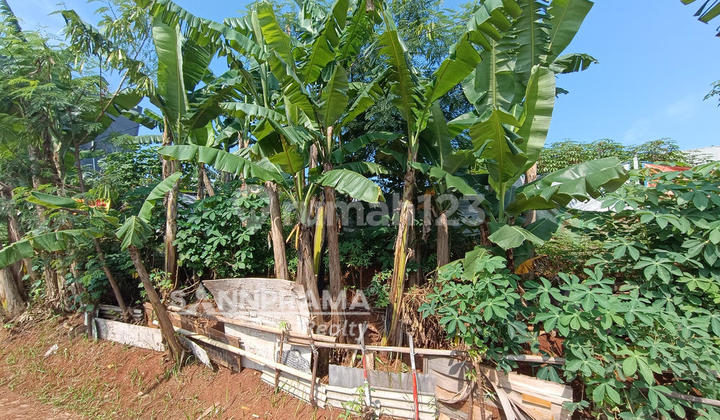 Cheap Land Ready to Build Strategic Location in Limo Depok