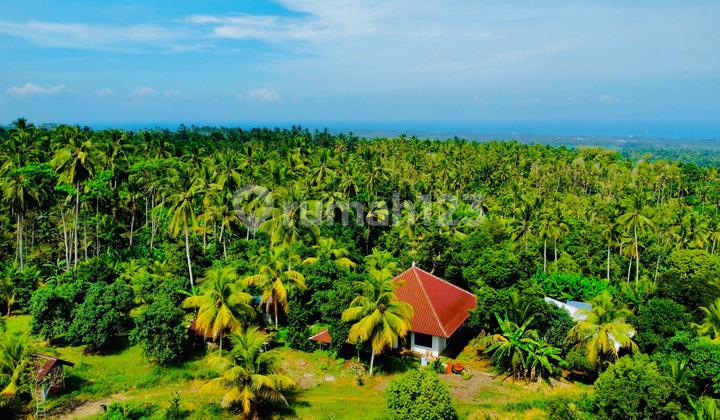 Pengurangan Harga yang Sangat Besar-Harga untuk Menjual $ 650.000 Aud