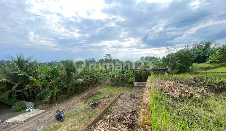 Tanah 650 m2 SHM Medewi, Jembrana