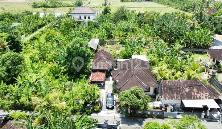 Fully Furnished, House, Ready to Occupy Jembrana