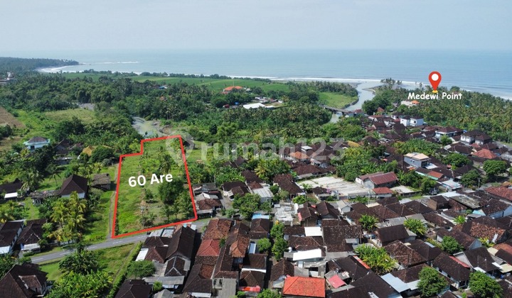 Large-Scale Development Land Rare in Prime Medewi Location Large-Scale Development Land Rare in Prime Medewi Location
