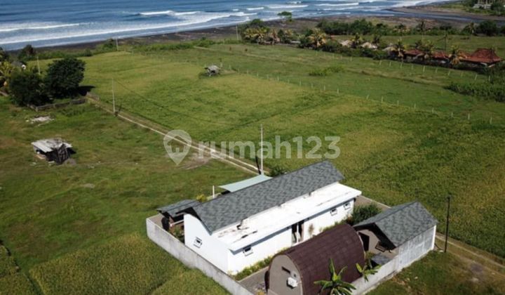 Rumah Furnished ,Dekat Medewi Point Surf Spot  1