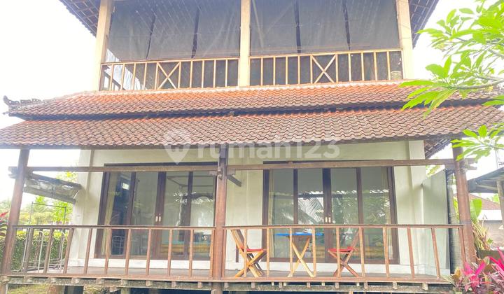 House, 2 Floors, Freehold Title, in Medewi