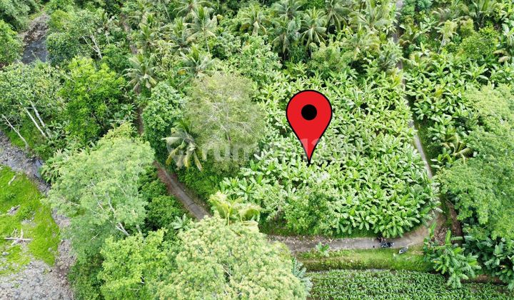 Tanah 26 Are yang Tenang Dikelilingi Alam - Hanya 50 Juta per Are