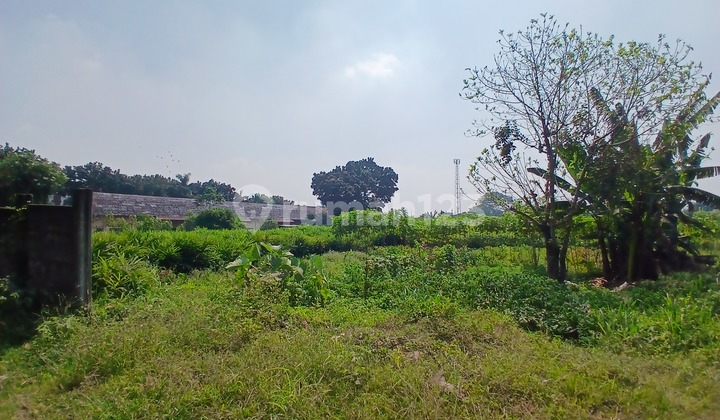 For Sale Cheap Land in Cikeas Gunung Putri Bogor