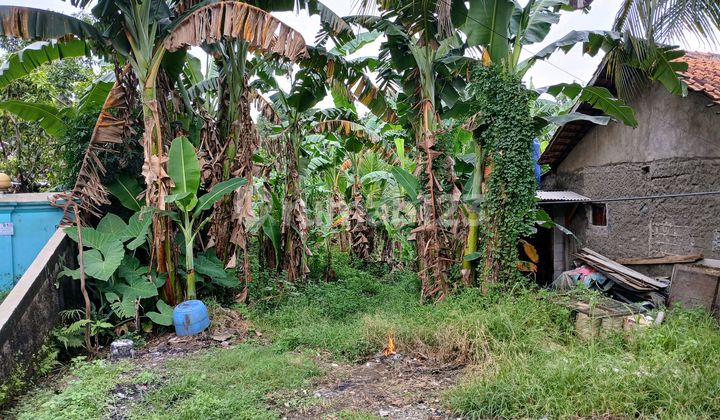 Di Jual Tanah Siap Bangun Dekat Pemda Cibinong Di Jual Tanah Siap Bangun Dekat Pemda Cibinong