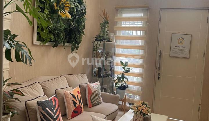 Buy a House Bonus Alphard & Mercedes Benz 2