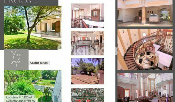 Rumah Sultan Jl. Cendrawasih Seberang Grand Mode 2