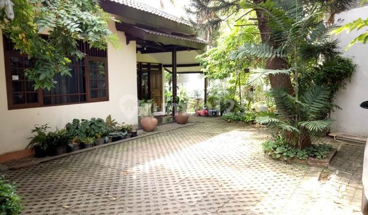 Tanah Bonus Rumah dengan Suasana Asri 3 Menit ke Tol Fatmawati di Cilandak - Jakarta Selatan Tanah Bonus Rumah dengan Suasana Asri 3 Menit ke Tol Fatmawati di Cilandak - Jakarta Selatan