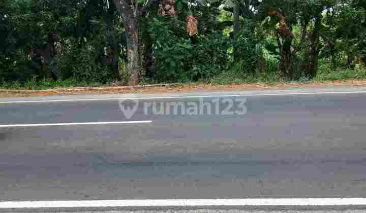 DIJUAL TANAH LOKASI PASURUAN