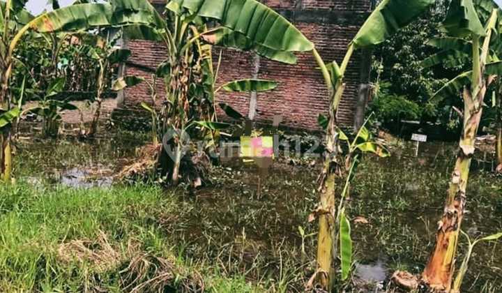 DIJUAL TANAH JAPANAN KOTA PASURUAN