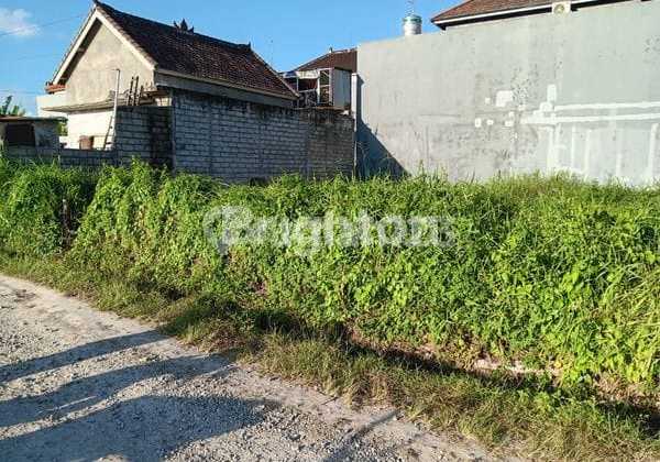 Tanah Jual 171 M2 di Cekomaria, Harga Terjangkau - Dekat ke Berbagai Fasilitas (Xmro)