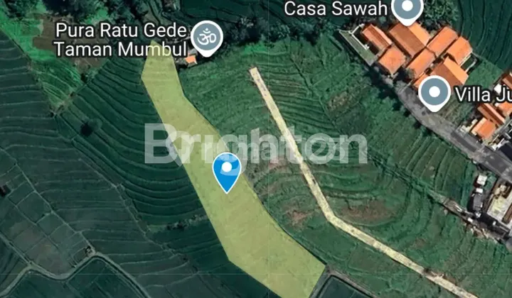 AFFORDABLE LAND on a FAST GROWING TOURISM AREA - CEMAGI MUNGGU. SHORT RIDE TO THE BEACH AFFORDABLE LAND on a FAST GROWING TOURISM AREA - CEMAGI MUNGGU. SHORT RIDE TO THE BEACH