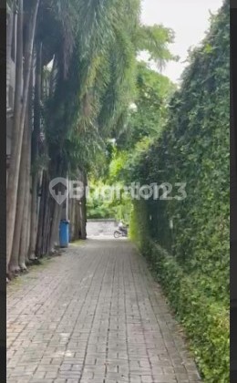 MURAH - SUPER RARE! BELI TANAH, BONUS 2 BANGUNAN BESAR - Cocok Investor & Guesthouse 2