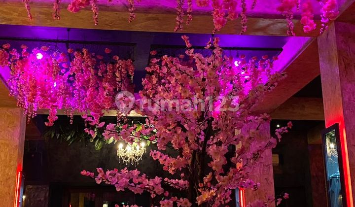 Hostel Mewah 3 Lantai Di Pusat Seminyak, Investasi Premium