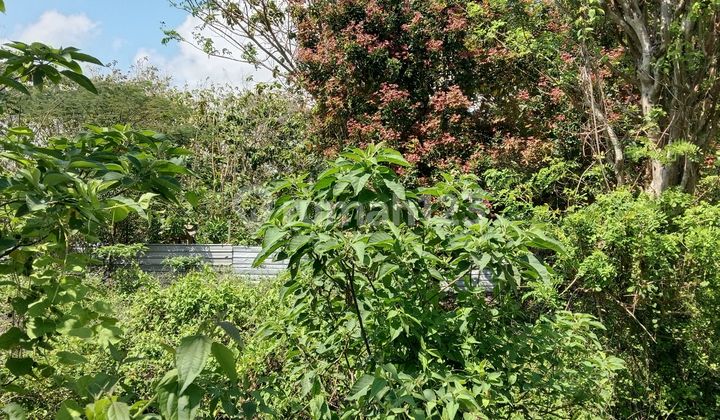 Tanah Shm 500m², Lokasi Strategis Bali