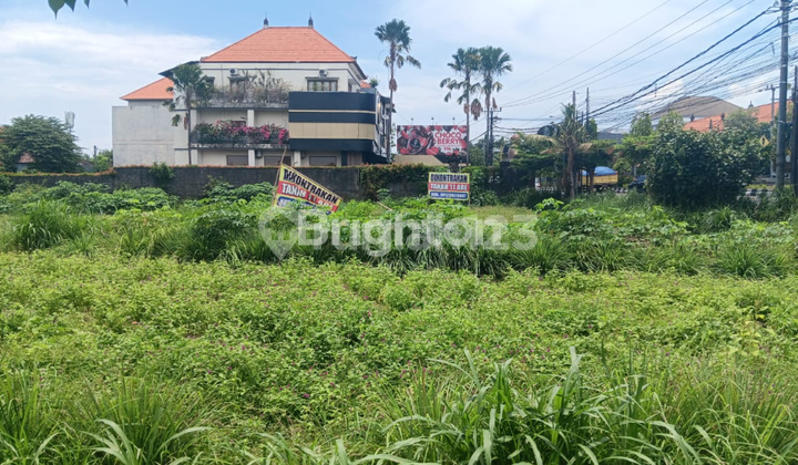 Disewakan Tanah Komersial Strategis 11 Are - Cocok untuk Usaha atau Pengembangan Pariwisata