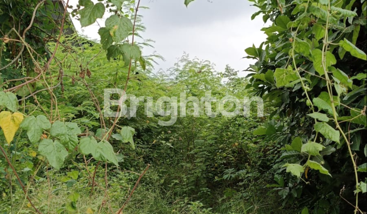 For Rent Strategic Land 24 Are - Near By Pass Highway, Potential Commercial Location For Rent Strategic Land 24 Are - Near By Pass Highway, Potential Commercial Location