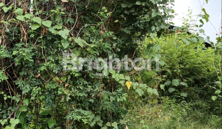 For Rent Strategic Land 24 Are - Near By Pass Highway, Potential Commercial Location