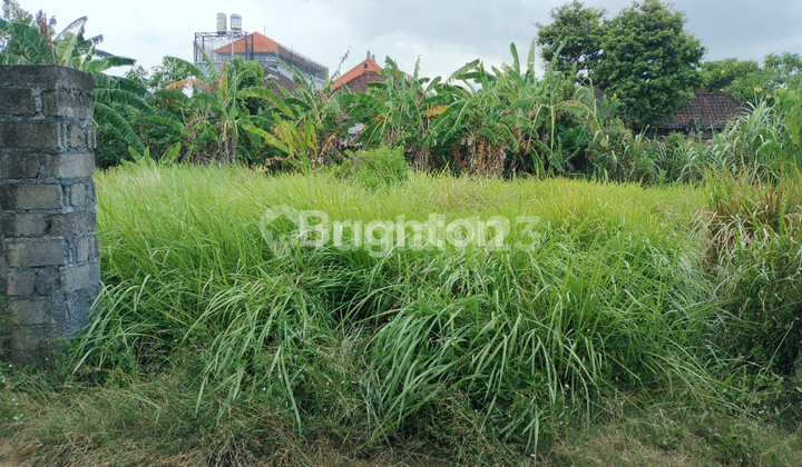 Disewakan Tanah Strategis 4 Are - Akses Mudah & Potensi Investasi Tinggi