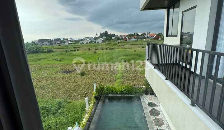 Brand New Modern Villa With Rooftop In Kedungu
