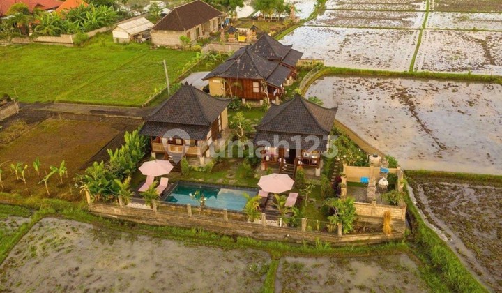 Villa Dekat Restaurant Gajah Putih - Lodtunduh, Gianyar Villa Dekat Restaurant Gajah Putih - Lodtunduh, Gianyar