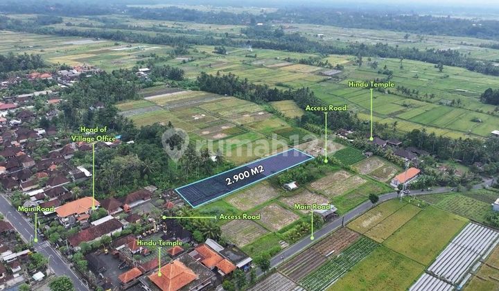 2900 M2 Land Near Sangeh Monkey Forest, in Mengwi 2900 M2 Land Near Sangeh Monkey Forest, in Mengwi
