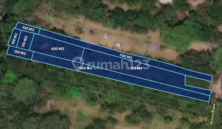 Potential Freehold Land Near River | Sangeh - Abiansemal