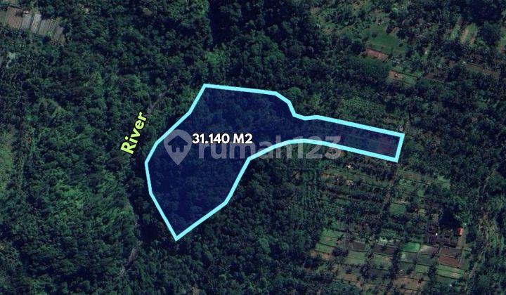 Tanah 31140 m2 dekat Pura Tirta Empul - Payangan, Gianyar Tanah 31140 m2 dekat Pura Tirta Empul - Payangan, Gianyar