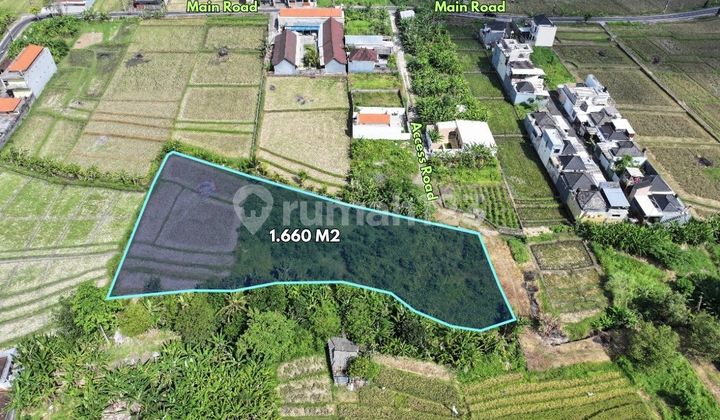 1660 m2 Tanah dekat DTW Tanah Lot - Belalang, Tabanan 1660 m2 Tanah dekat DTW Tanah Lot - Belalang, Tabanan