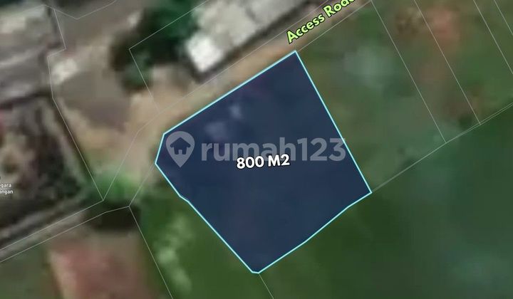 Land Near Lovina Beach, in Baktiseraga, Buleleng Land Near Lovina Beach, in Baktiseraga, Buleleng