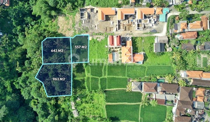 2163 m2 Tanah dekat Puri Agung Ubud - Petulu, Gianyar 2163 m2 Tanah dekat Puri Agung Ubud - Petulu, Gianyar