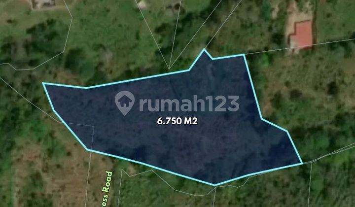 6750 m2 Tanah dekat Danau Tamblingan - Munduk, Buleleng