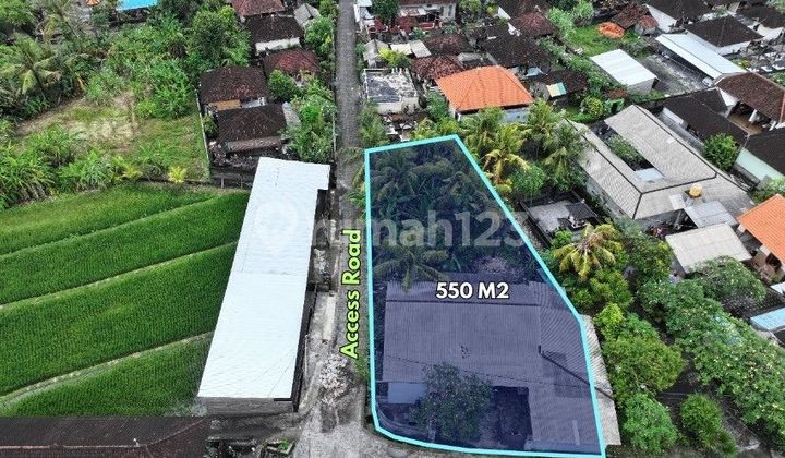 550 m2 Land near DTW Tabah Lot and Kedungu Beach - Beraban, Tabanan