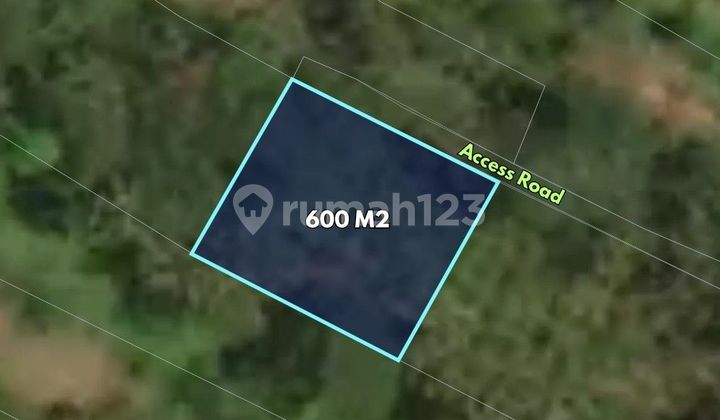 600 m2 Tanah dekat Air Terjun Ulu Petanu - Pupuan, Gianyar 600 m2 Tanah dekat Air Terjun Ulu Petanu - Pupuan, Gianyar