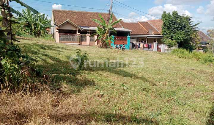 Jual Tanah di Jl Kebersihan, Tanjung Karang Barat,Bandar Lampung