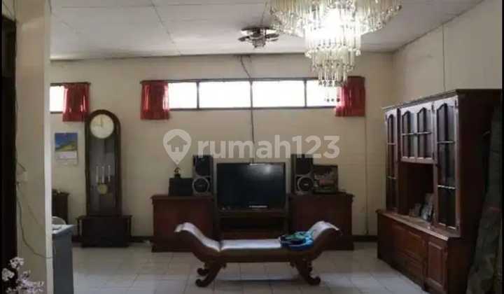 Sayap Lodaya Murah Cocok Untuk Usaha  2