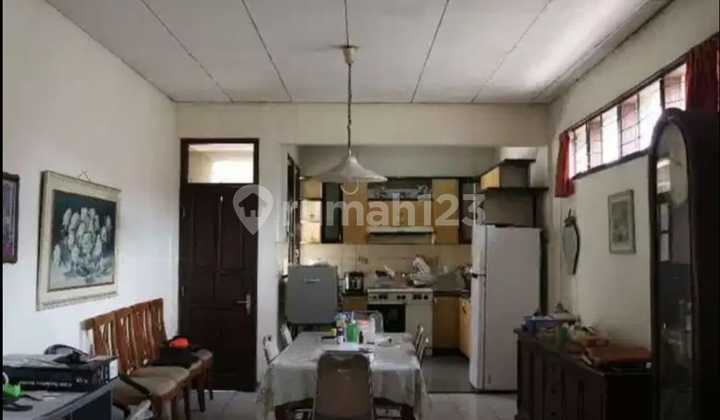 Sayap Lodaya Murah Cocok Untuk Usaha 