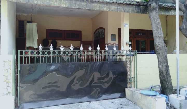 Rumah Siap Huni Murah Butuh Renovasi Cat Ulang Sangat Murah