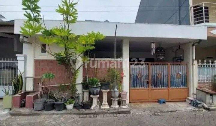 Rumah Taman Pondok Indah Wiyung Surabaya Butuh Minim Renovasi Rumah Taman Pondok Indah Wiyung Surabaya Butuh Minim Renovasi