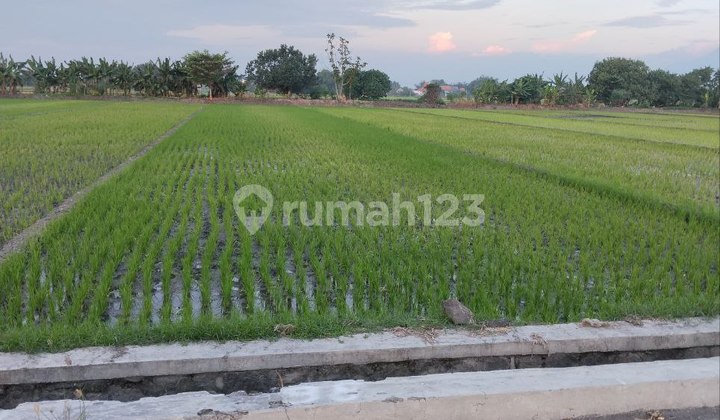 Land for Sale Magersari Mojokerto SHM East Java