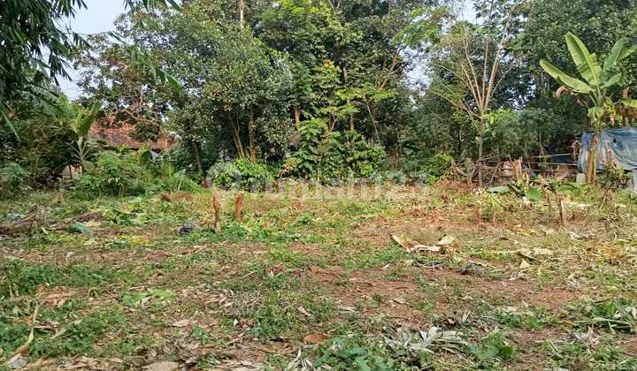 Tanah SHM Cisauk Dekat Stasiun Jatake Baru, bisa Cicil 12X