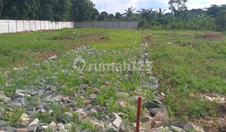 Cheap Land with SHM in Cisauk, Strategically Located Near Cicayur Station Cheap Land with SHM in Cisauk, Strategically Located Near Cicayur Station
