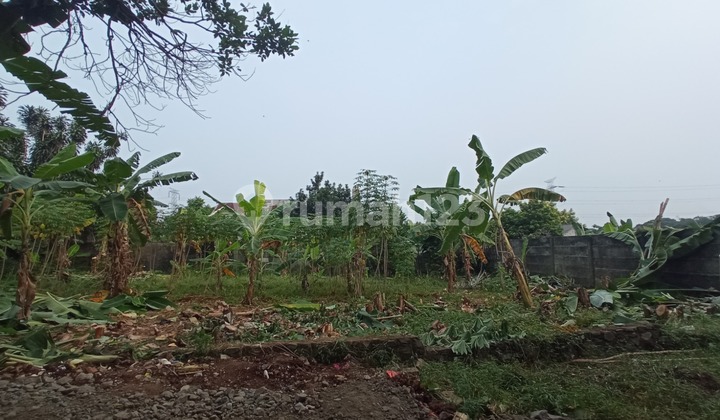 Strategis di Cinangka, Tanah Murah SHM Dekat Jl Raya Strategis di Cinangka, Tanah Murah SHM Dekat Jl Raya