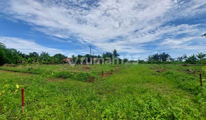 Affordable Land in Cisauk, Strategically Located Near Legok Toll Gate, with SHM per Unit Affordable Land in Cisauk, Strategically Located Near Legok Toll Gate, with SHM per Unit