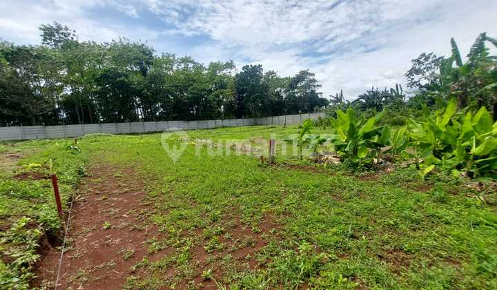 Tanah Murah Strategis Cisauk, Dekat Stasiun Cicayur Tanah Murah Strategis Cisauk, Dekat Stasiun Cicayur