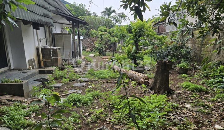 Rumah Hitung Tanah Benhil Bendungan Hilir Jakarta Rht Bawah NJOP